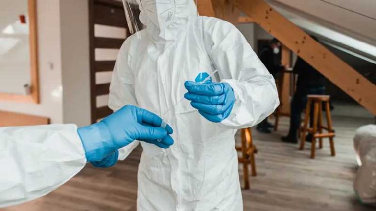 ebola virus