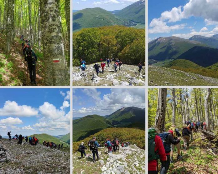 escursione faggeta vetusta del pollino