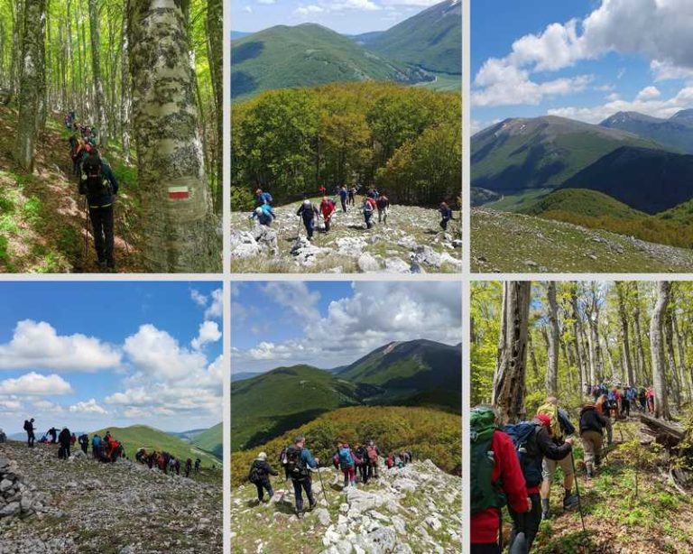 escursione faggeta vetusta del pollino