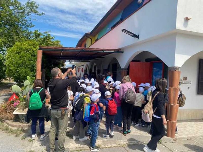 foto cedroint@ur