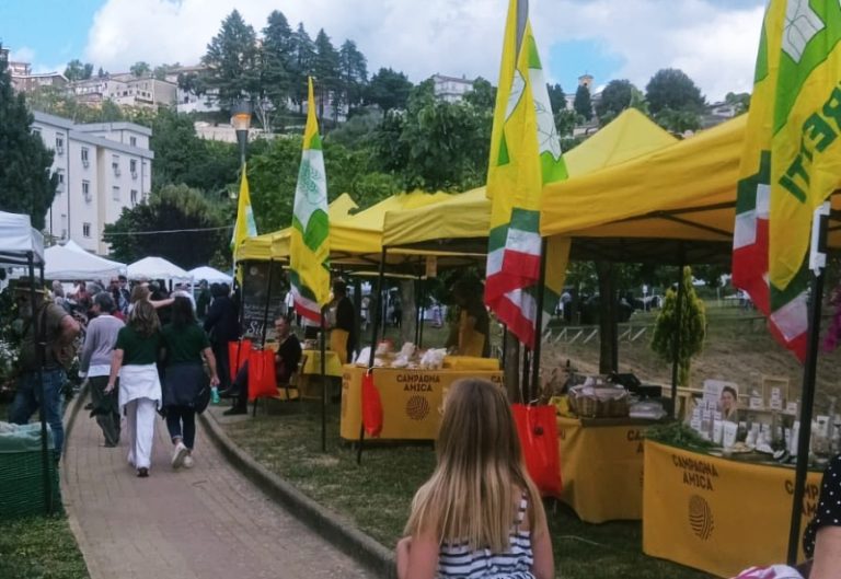 Rogliano celebra il trionfo del Green Fest: quando l’unione fa la forza, il territorio rinasce