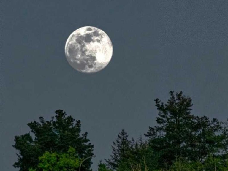 luna dei fiori