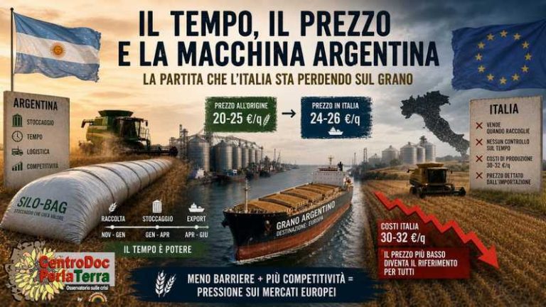 mercosur grano argentina