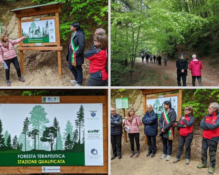 montescuro foresta incantata