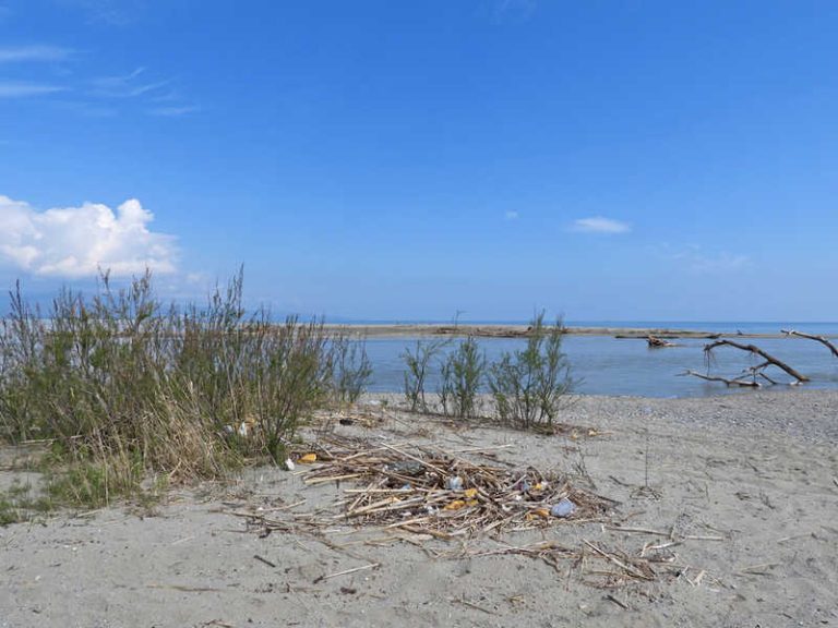 rifiuti spiaggiati foce fiume crati