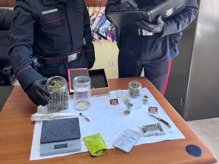 sequestro marijuana squillace