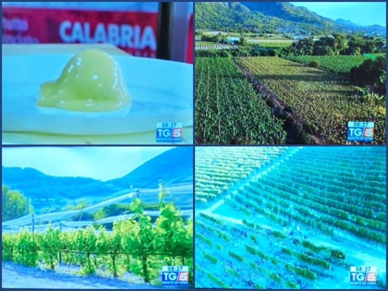 Una domenica da fieri calabresi: la Calabria incanta Canale 5 nella rubrica “Gusto DiVino”