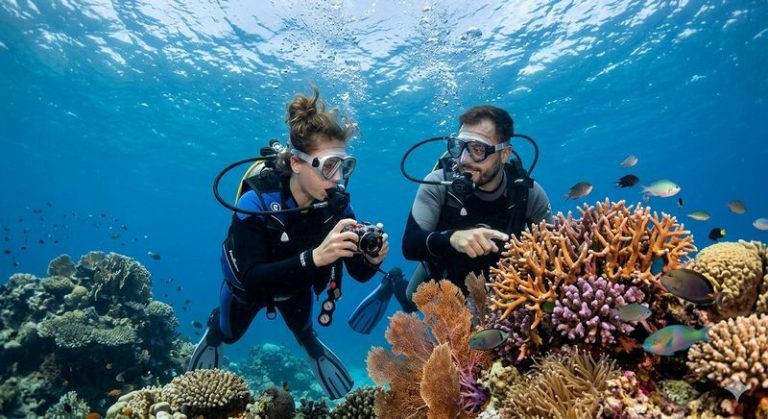 turismo subacqueo coralli sub
