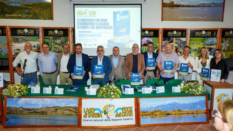 Atlante degli uccelli nidificanti calabria