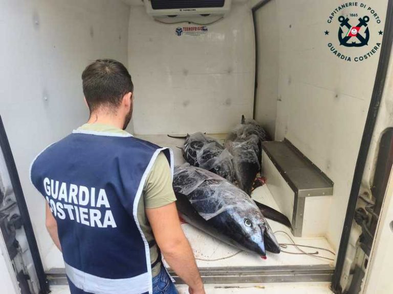Crotone sequestro tonno rosso