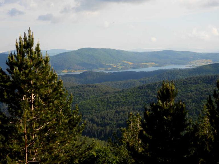 Parco Nazionale della Sila
