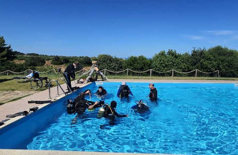 brevetto sud disabile