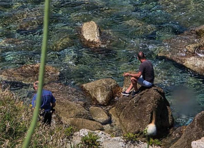 cadavere mare briatico