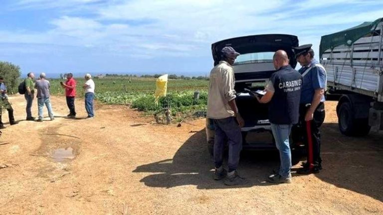 caporalato carabinieri piana di sibari