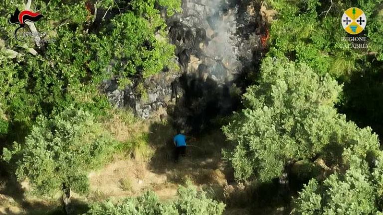 incendario cleto