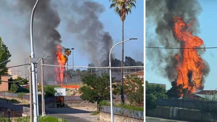 incendi stazione sibari