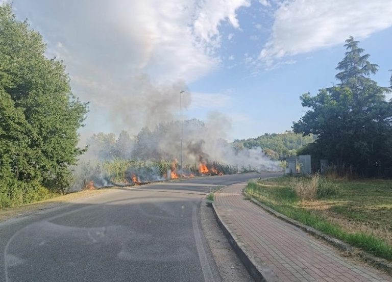 Cosenza e Rende nella morsa delle fiamme: un pomeriggio di fuoco e paura