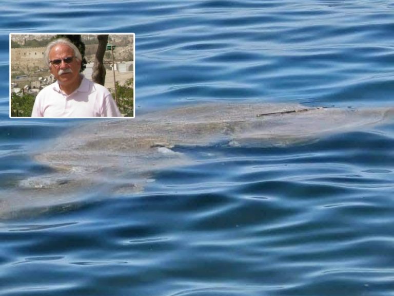 Mare sporco, la denuncia di Rizzuti: «Basta interventi di facciata, serve un Dipartimento del Mare»
