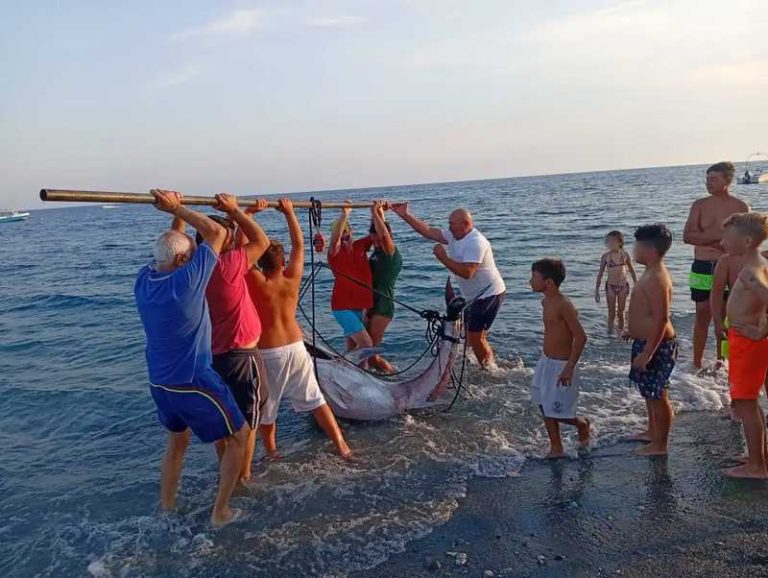 pesca tonno rosso melito