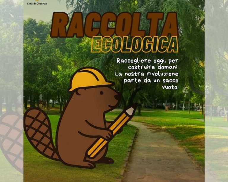 raccolta ecologica social builders