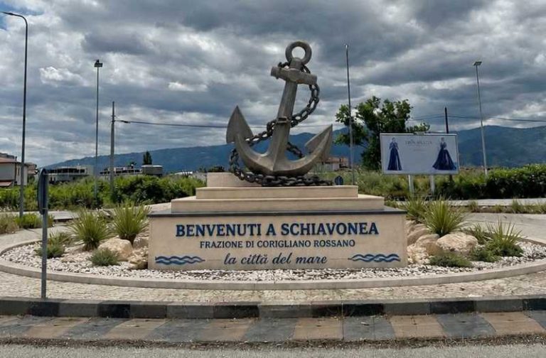 rotatoria schiavonea