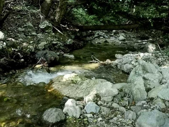 torrente emoli rende