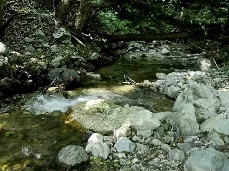 torrente emoli rende
