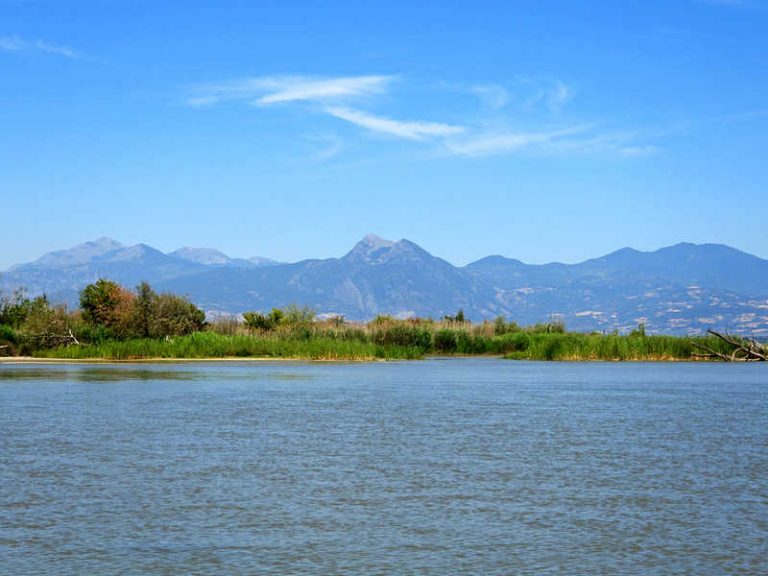 Foce del Crati