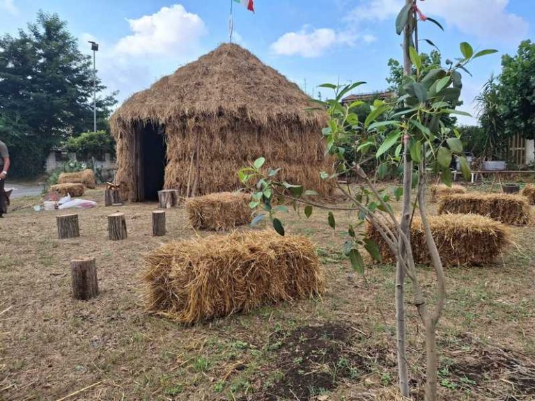 Il Pajjàru di Pernocari di Rombiolo
