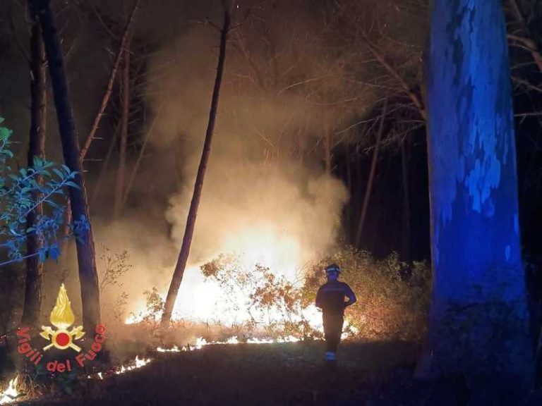 incendio pineta Curinga
