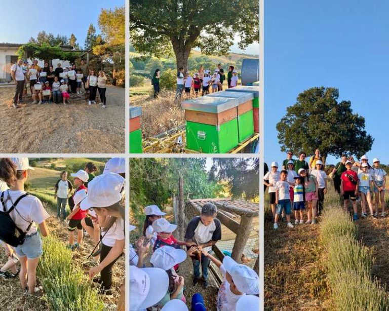 Laboratorio Creativo in Natura di Fili Meridiani