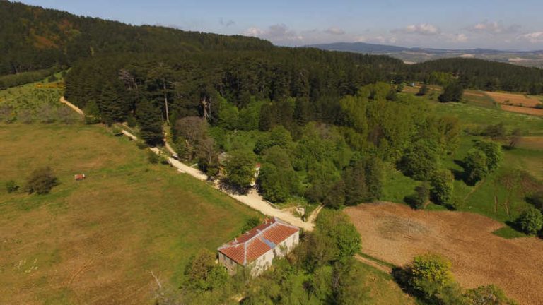Riserva e Casino Mollo dall'alto