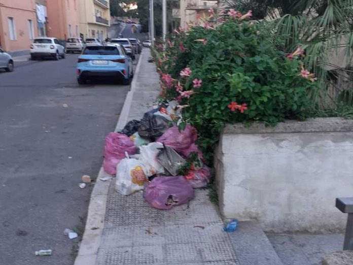 abbandono rifiuti catanzaro_2026