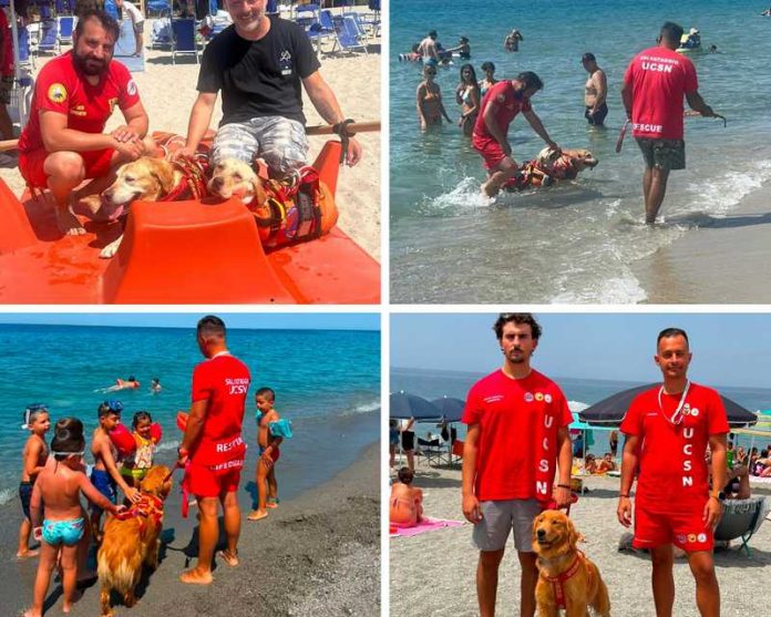 cani salvataggio sellia marina