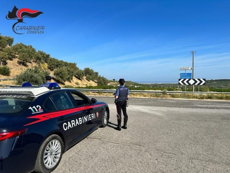 Coltivava piante di cannabis alte due metri: 66enne arrestato dai Carabinieri