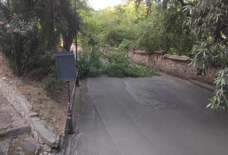 Cosenza, la bellezza ferita di un centro storico isolato tra incuria e grandi eventi