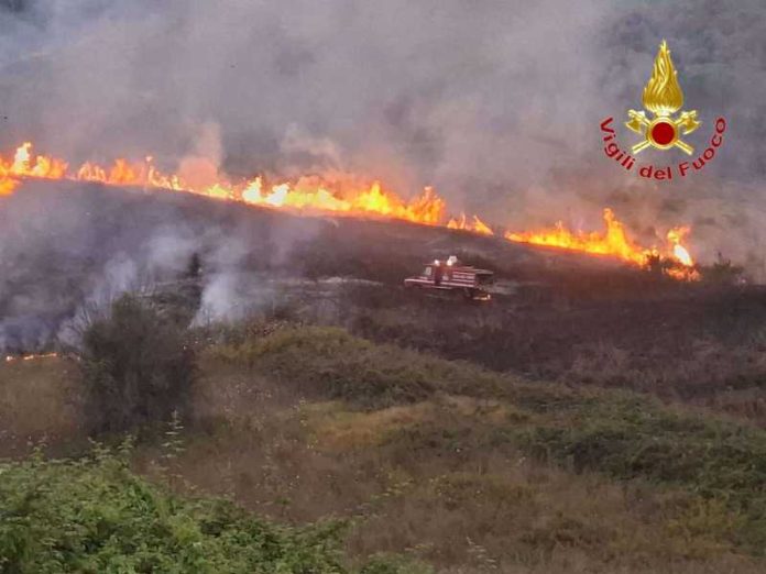 incendi nel vibonese