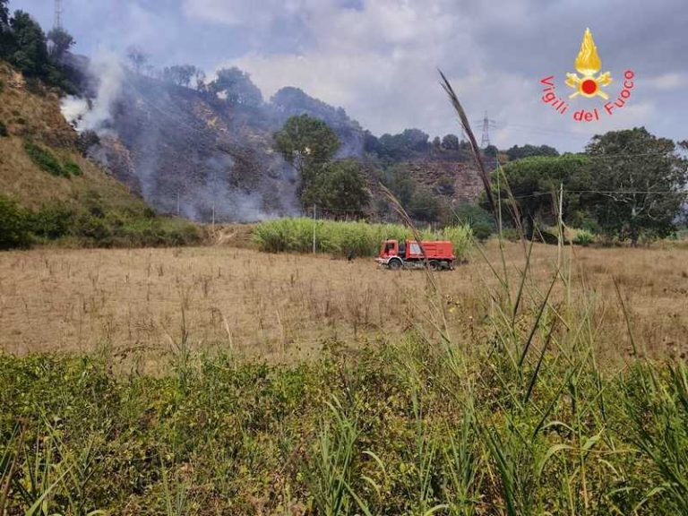incendio boschivo pianopoli