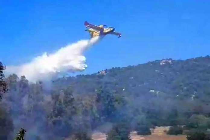 incendio pollino tortora