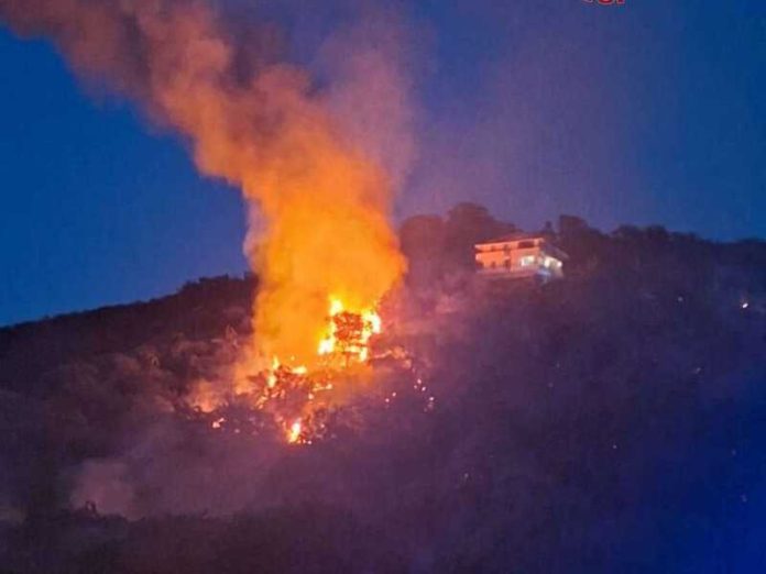 incendio ricadi joppolo