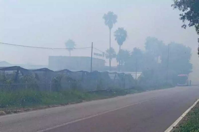 incendio vivaio lamezia