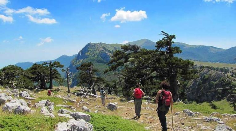 Famiglia si perde nel Parco del Pollino: soccorritori in azione a Bosco Magnano
