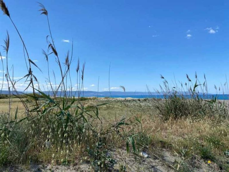 riserva naturale dune giovino