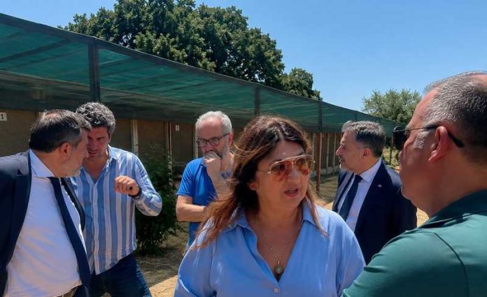 straface ispeziona canili sanitari calabria