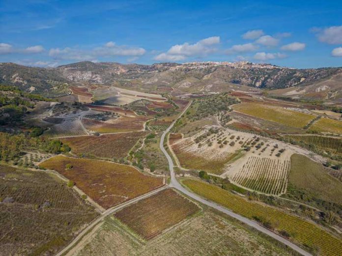 CWF_2026_Territorio