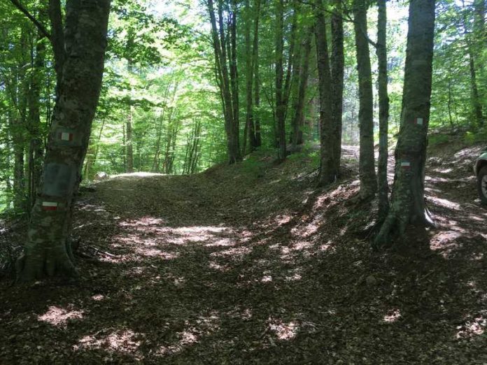 sentiero parco Aspromonte
