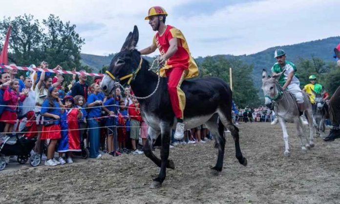 Palio Cu i Ciucci 2026