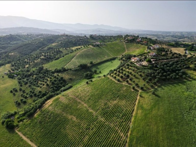 Tenuta Contessa