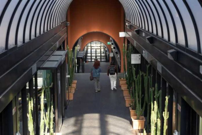 biblioteche_biblioteca_bibliotecario