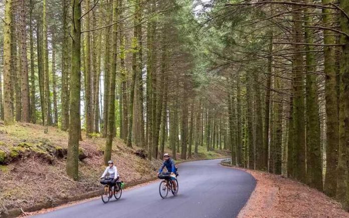 ciclovia ciclisti parchi calabria